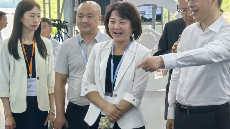 汽车保养用品厂家排名：揭秘品质与技术的幕后真相